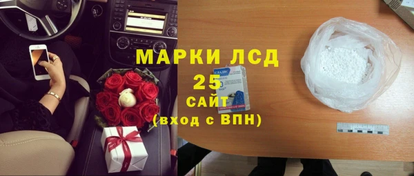 прущие грибы Богородицк