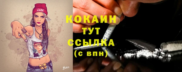 прущие грибы Богородицк