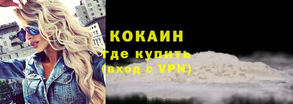 прущие грибы Богородицк