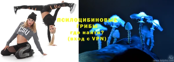 прущие грибы Богородицк