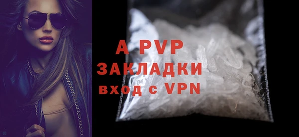 прущие грибы Богородицк