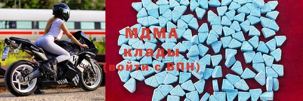 прущие грибы Богородицк