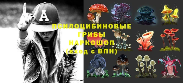 прущие грибы Богородицк