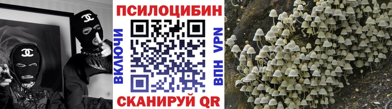 Галлюциногенные грибы Psilocybine cubensis  сколько стоит  Кизляр 