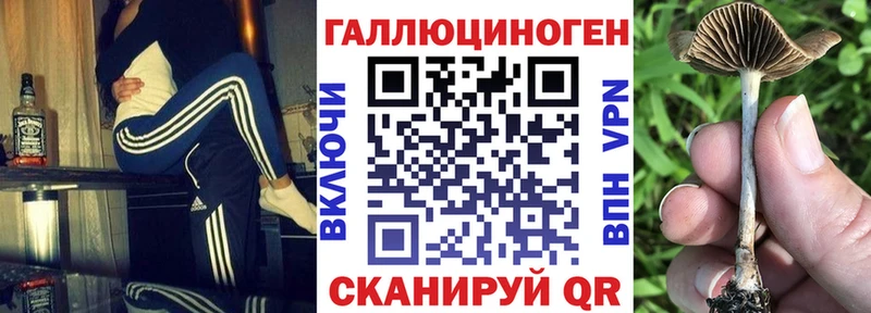 Галлюциногенные грибы прущие грибы Кизляр